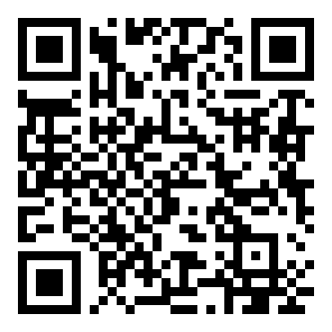 QR payment 100 CZK